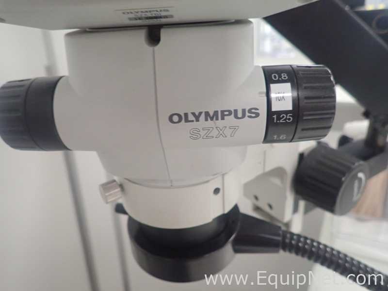 Olympus SZX7 Stereo Microscope With Light Source