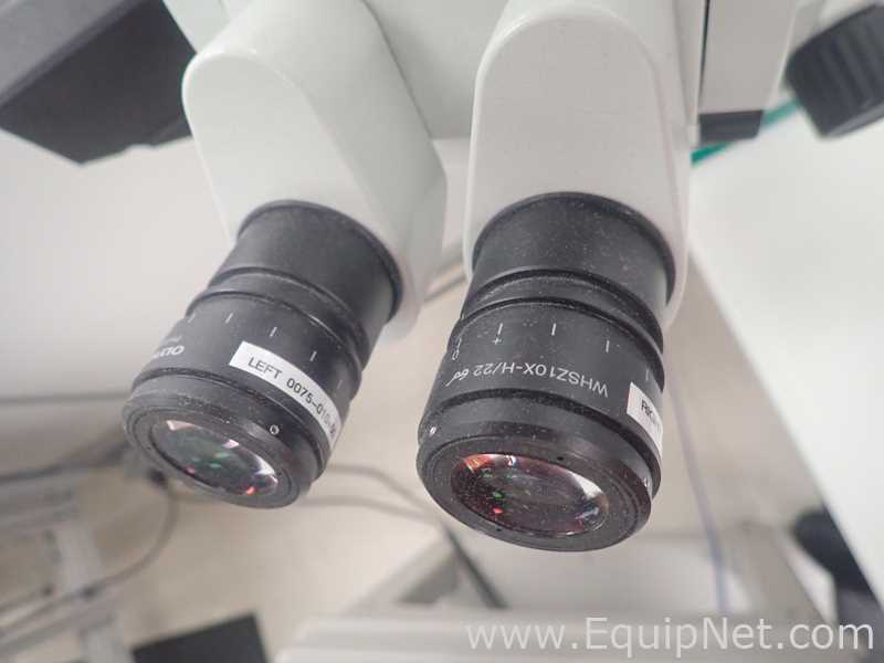 Olympus SZX7 Stereo Microscope With Light Source