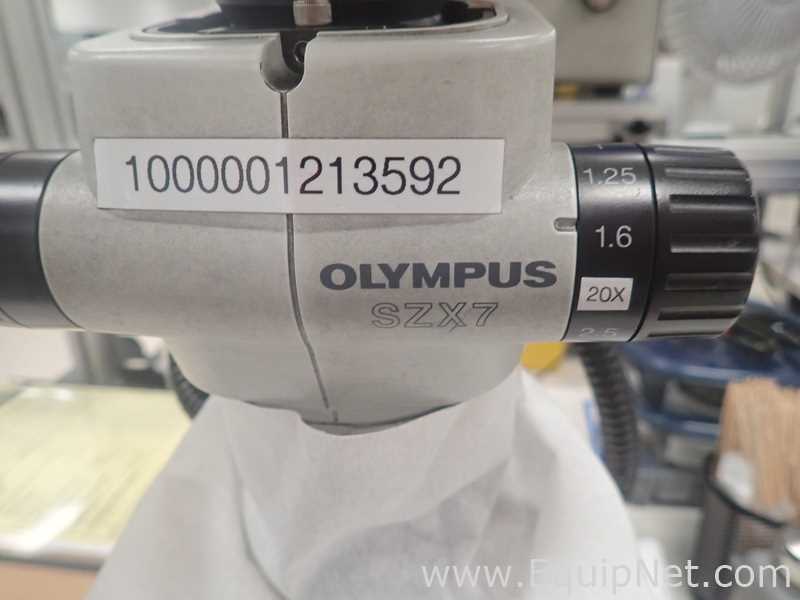 Olympus SZX7 Stereo Microscope With Light Source