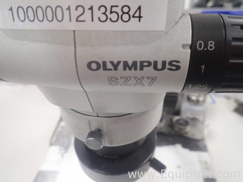 Olympus SZX7 Stereo Microscope With Light Source