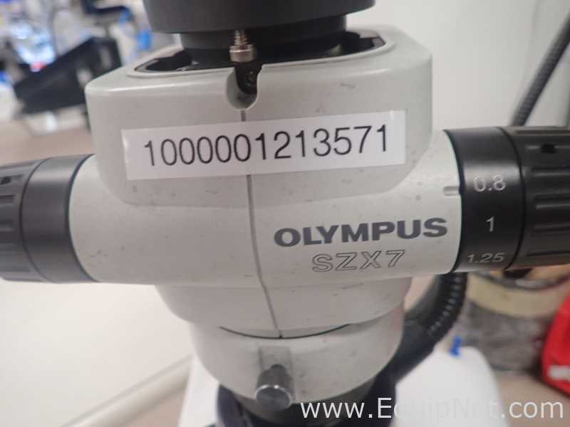 Olympus SZX7 Stereo Microscope With Light Source