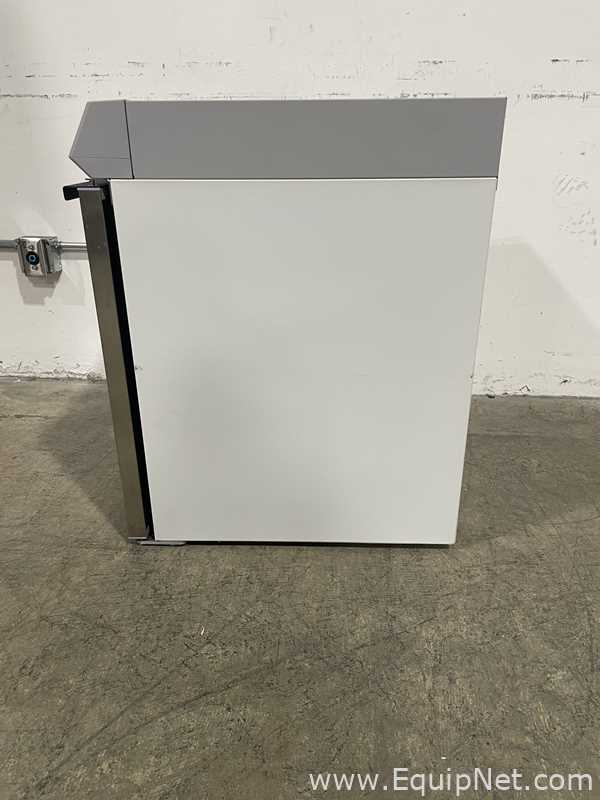 Thermo Scientific TSG505GA Undercounter Refrigerator