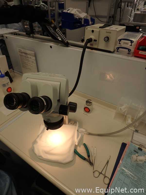 Microscopio Olympus SZX7