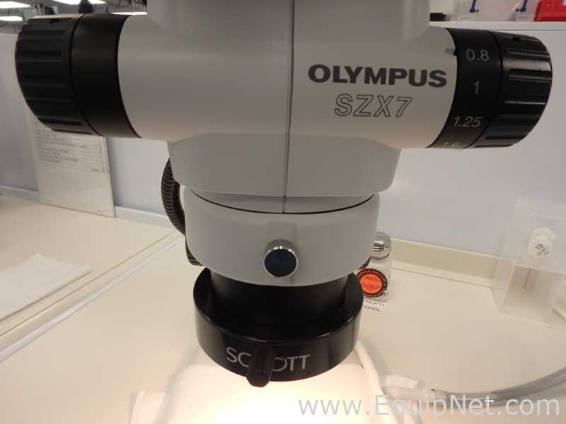 Microscopio Olympus SZX7