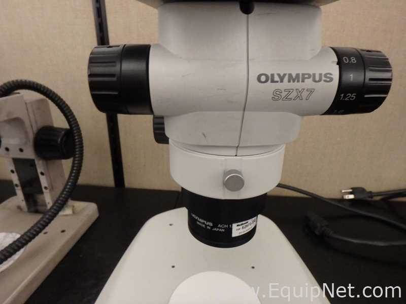 Olympus SZX7 Stereo Microscope