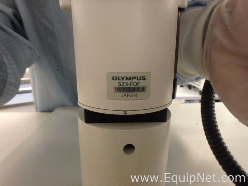 Olympus SZX12 Teaching Stereo Microscope With Light Source