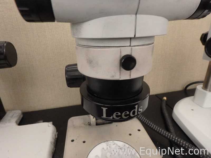 Microscopio Olympus SZ61