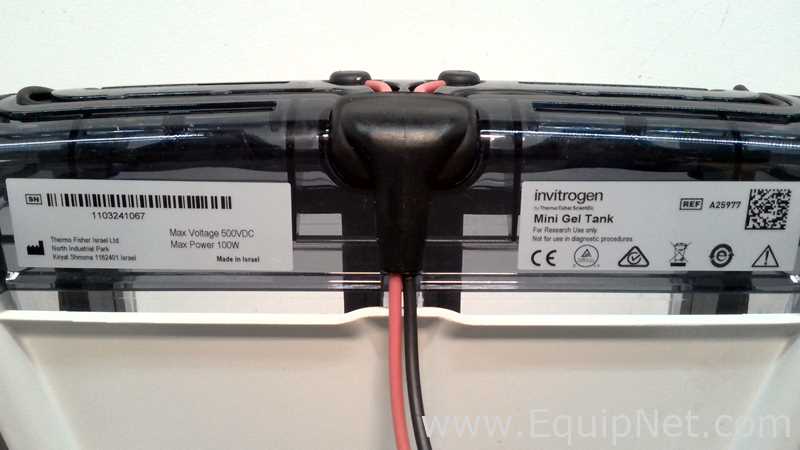 lote de   Sistema de Eletroforese Invitrogen 