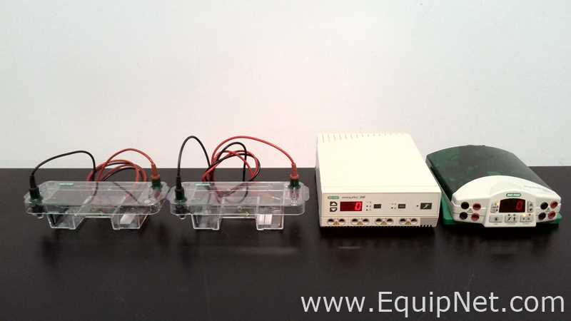 lote de   Sistema de Eletroforese Bio-Rad 