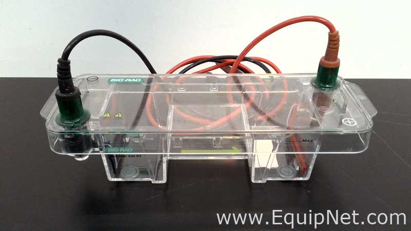 lote de   Sistema de Eletroforese Bio-Rad 