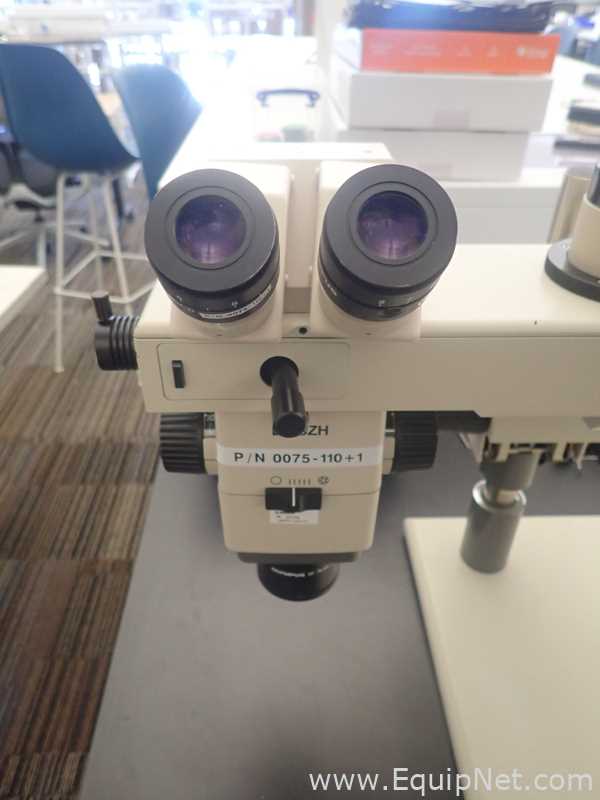 Olympus Teaching Microscope
