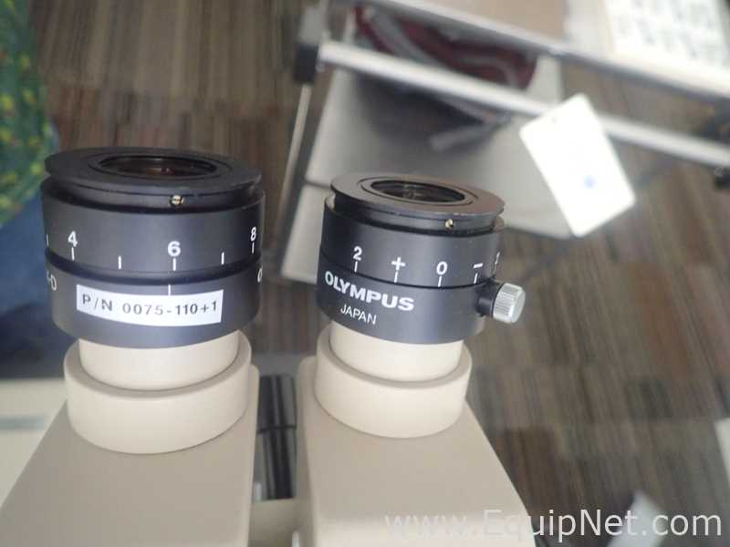 Olympus Teaching Microscope