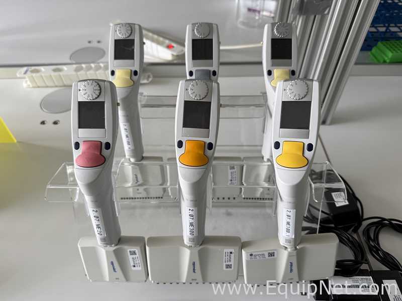 Lote de 7 Pipeteador Eppendorf Xplorer Plus