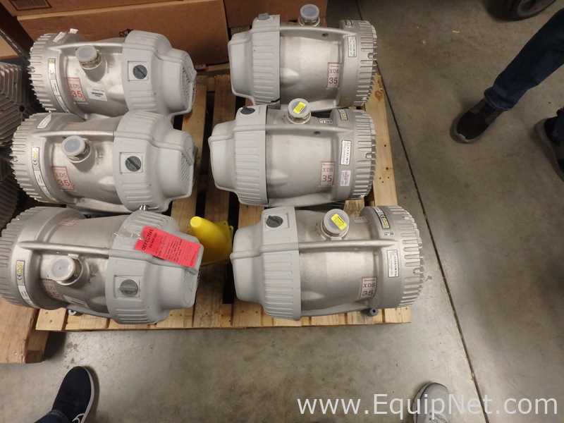 Lote de 11 Bomba de Vacío Edwards XDS35i