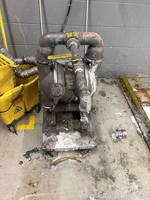 Wilden Diaphragm Pump