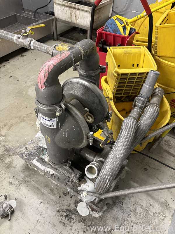 Wilden Diaphragm Pump