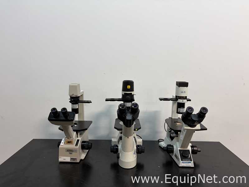 Lot of 3 Inverted Microscopes