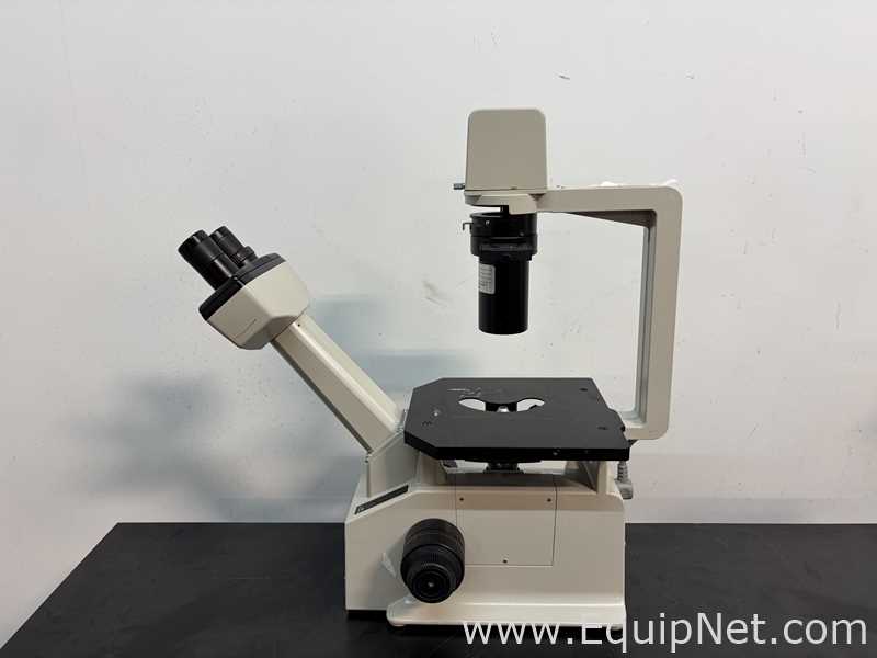 Lot of 3 Inverted Microscopes