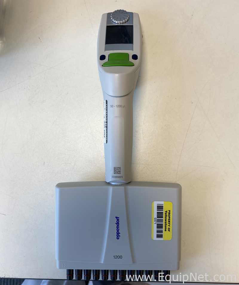 Lote de 6 Pipeteador Eppendorf 
