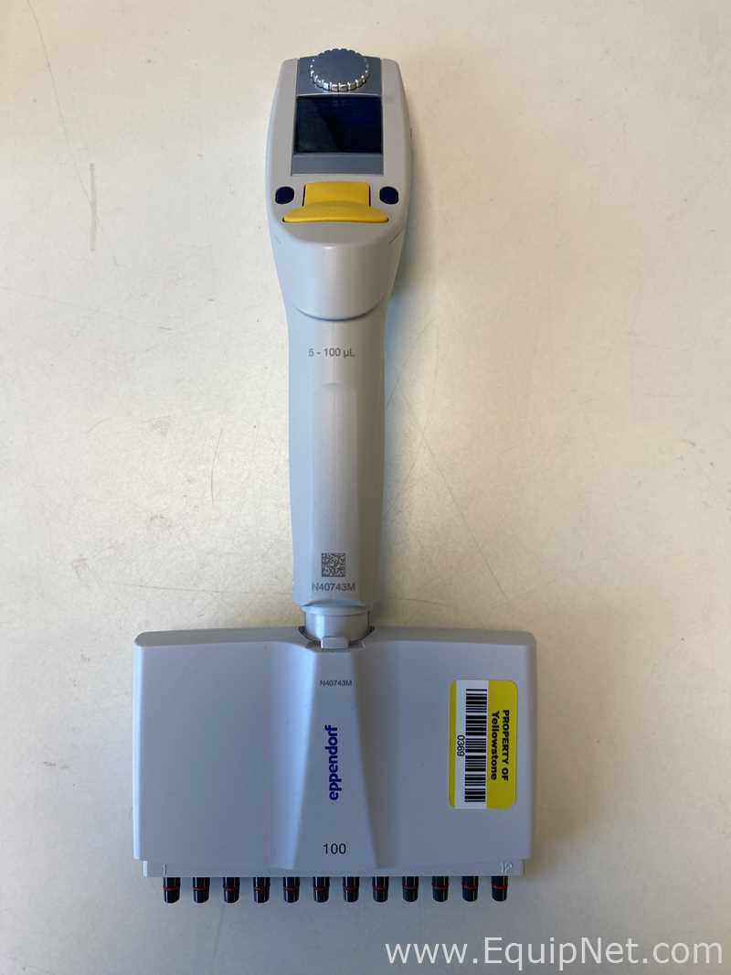 Lote de 6 Pipeteador Eppendorf 