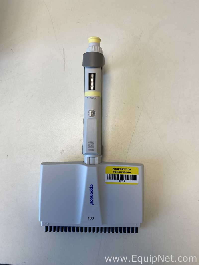 Lote de 6 Pipeteador Eppendorf 