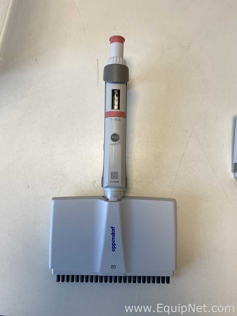Lote de 6 Pipeteador Eppendorf 