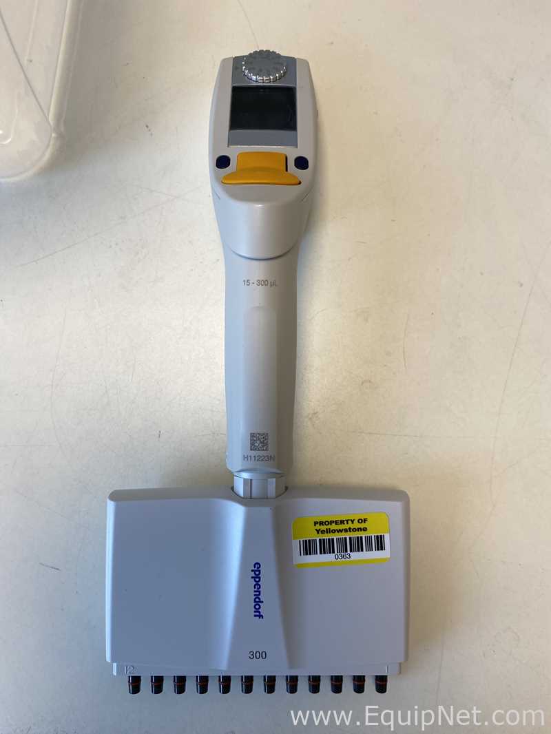 Lote de 6 Pipeteador Eppendorf 
