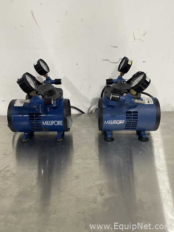 lote de  2 Bomba a Vácuo Millipore WP6111560