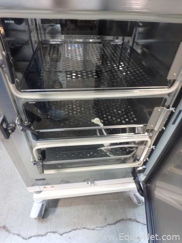 Thermo Scientific Heracell Vios 160i CO2 Incubator