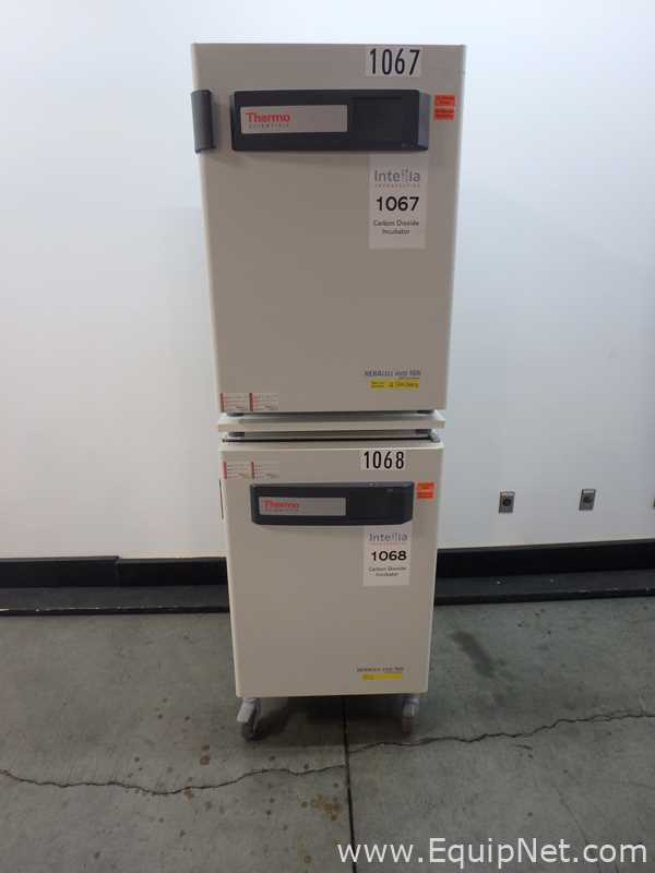 Incubadora Thermo Scientific Heracell Vios 160i