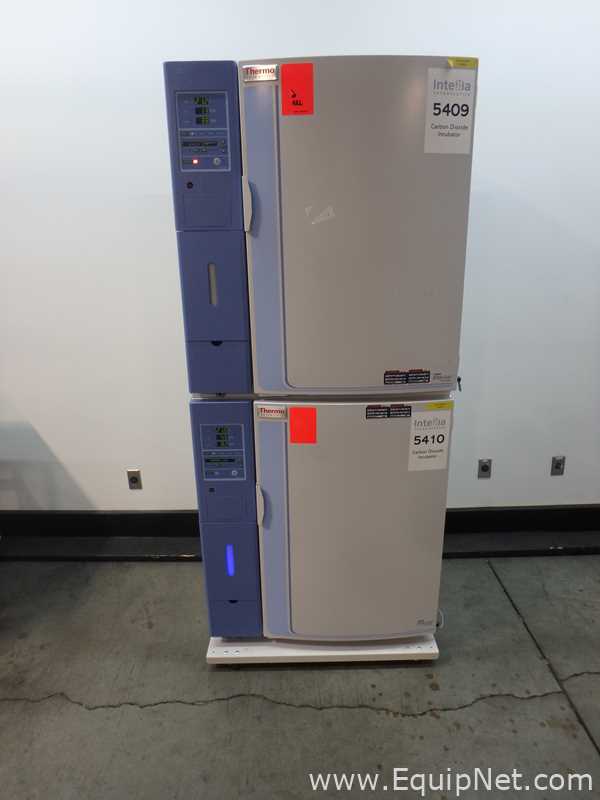 Incubadora Thermo Scientific 3307