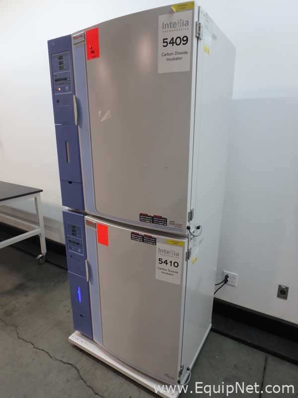 Incubadora Thermo Scientific 3307