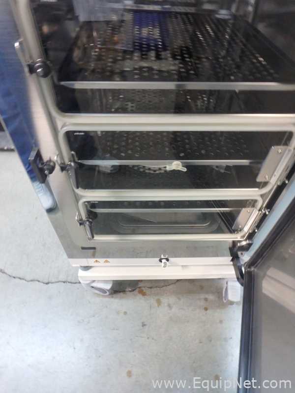 Incubadora Thermo Scientific Heracell Vios 160i