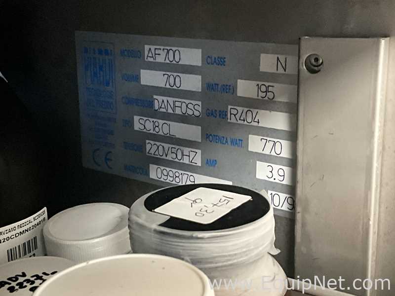 Piardi AF700 700 Litre -20 C Upright Laboratory Freezer