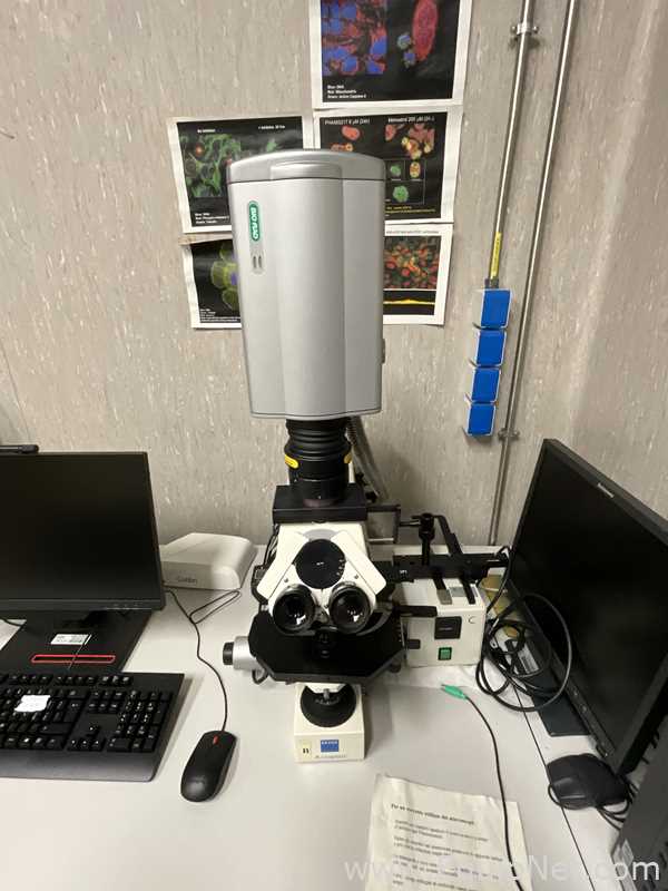 Carl Zeiss Microimaging AxioPlan Fluorescence Microscope BIORAD Radiance 2000 Laser Scanning System