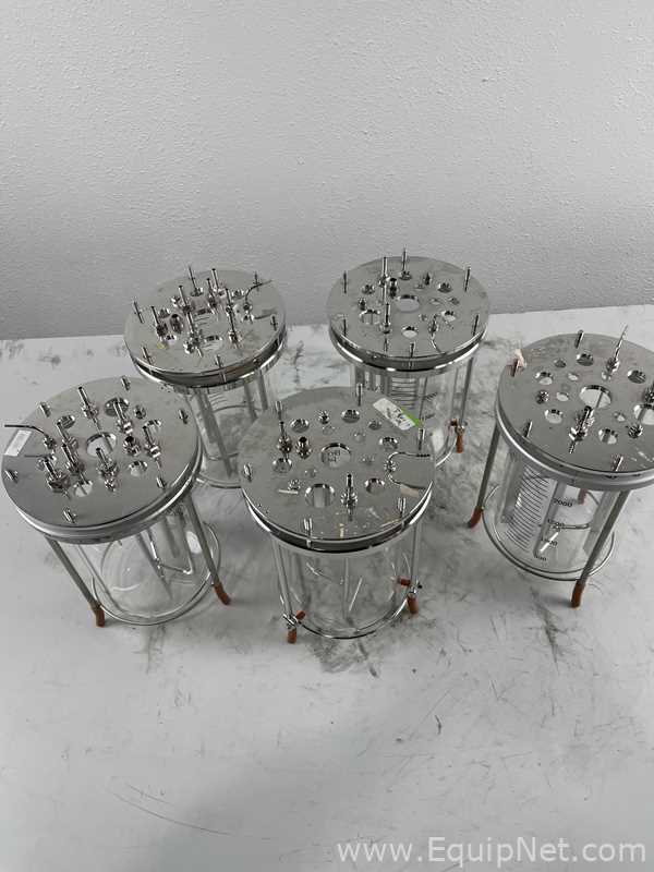 Lote de  Tanque - Contenedor de Presión Broadley James 5L Glass Bioreactor Vessel Assembly