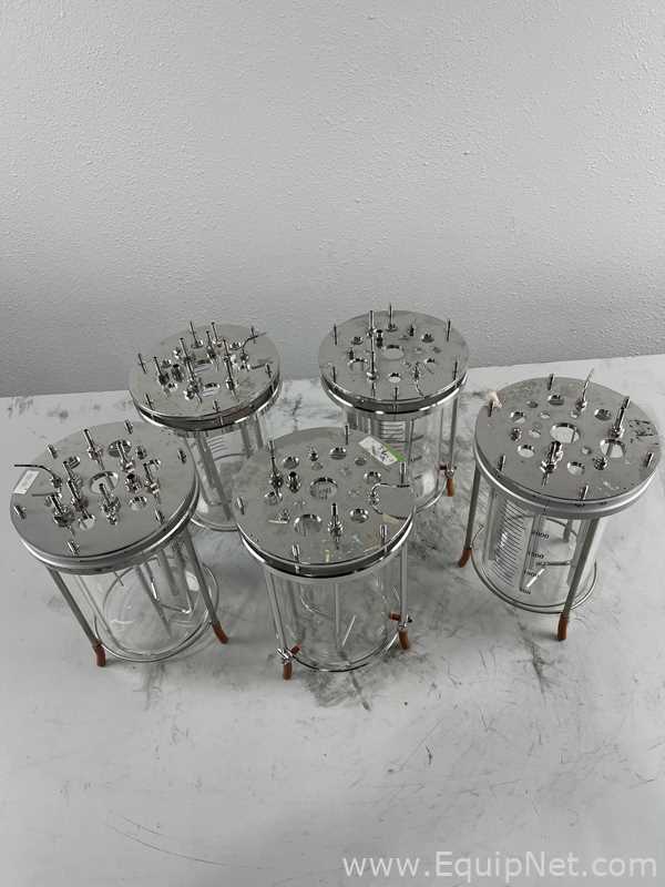 Lote de  Tanque - Contenedor de Presión Broadley James 5L Glass Bioreactor Vessel Assembly