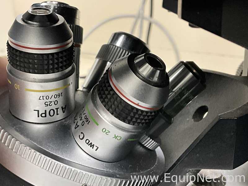 Microscópio Leitz Fluovert FU