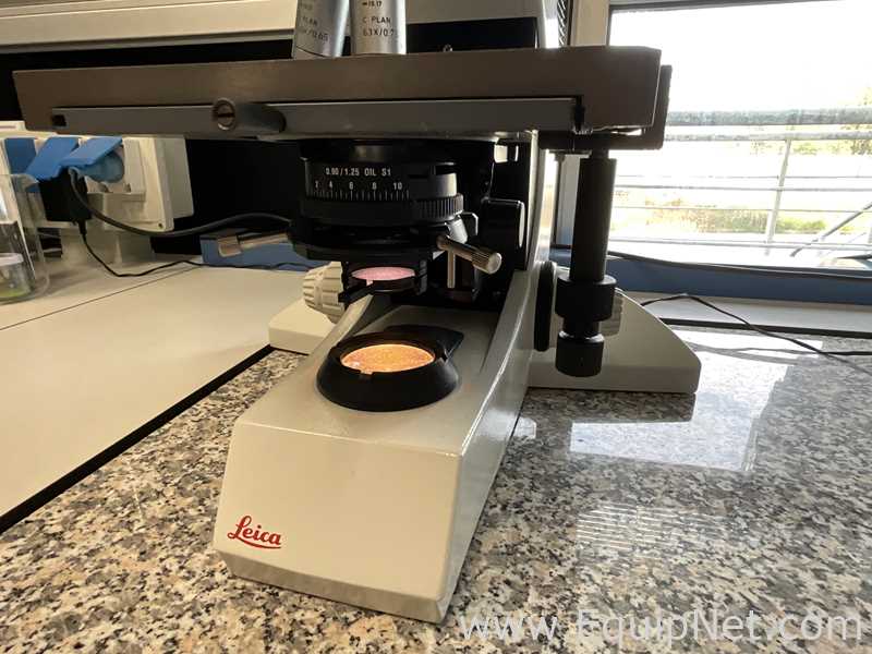 Leica DM LB Dual Binocular Microscope
