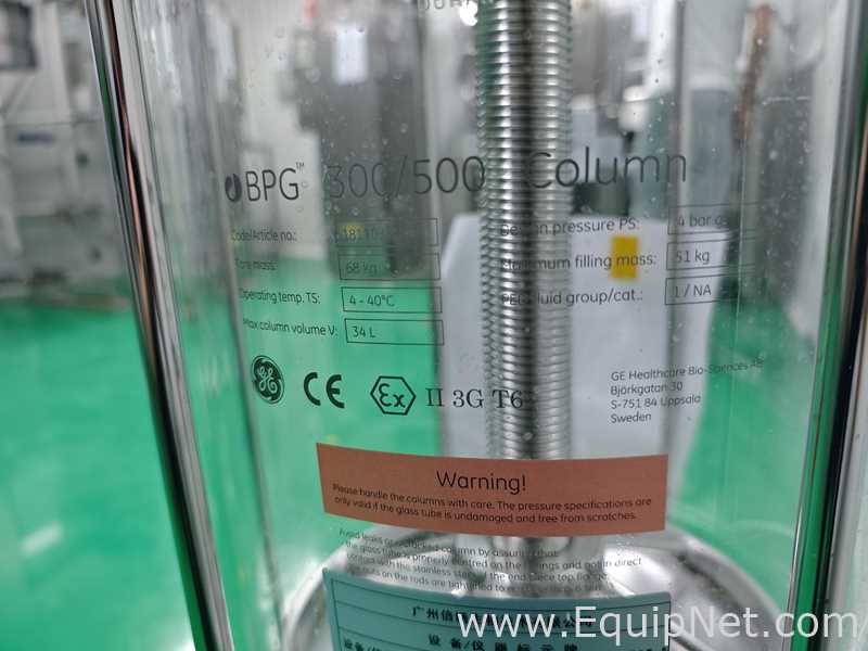GE BPG 300/500 Production Scale Column - 308