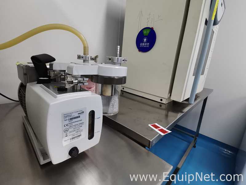 Bomba de Vacío Shanghai Zeyu Experimental Equipment Co., Ltd. WELCH P6Z