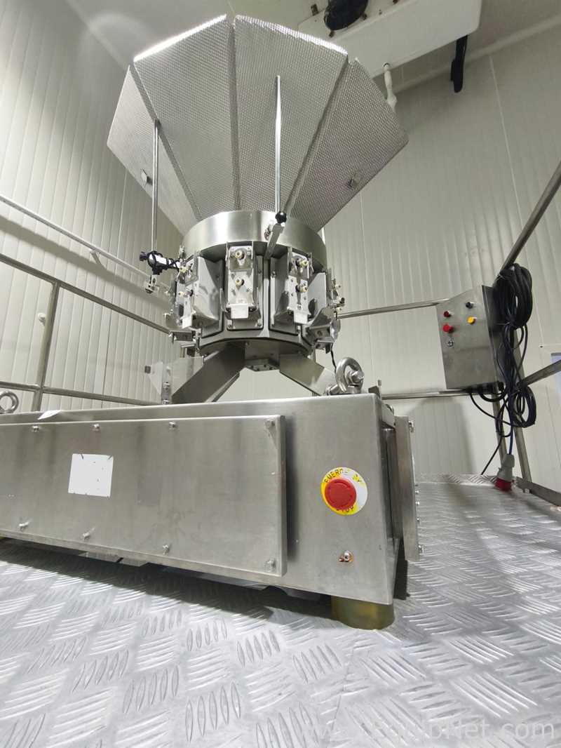 Máquina Vertical Formadora, Envasadora e Seladora Americas Maquinaria ED4230