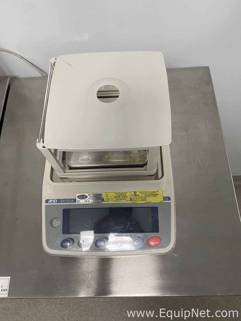 Balanza AND Company Limited  GX-203A Con Impresora