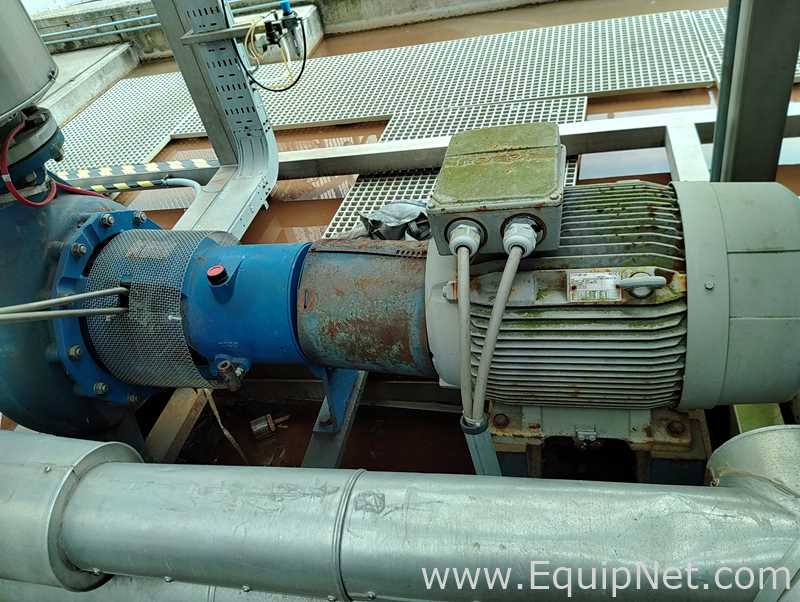 Salvatore Robuschi Recirculating Pump with Rotor NL Motor