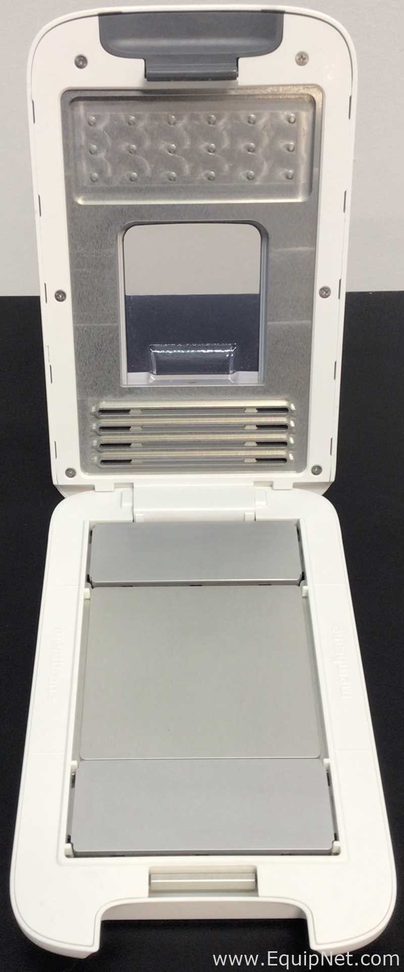 Electroforesis Invitrogen iBlot 2 Gel