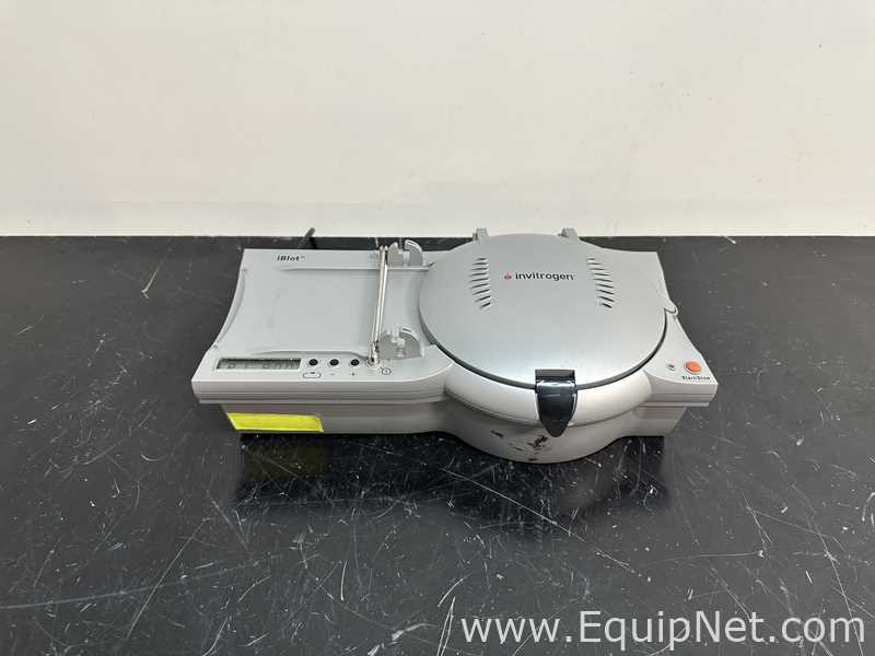 Electroforesis Life Technologies iBlot