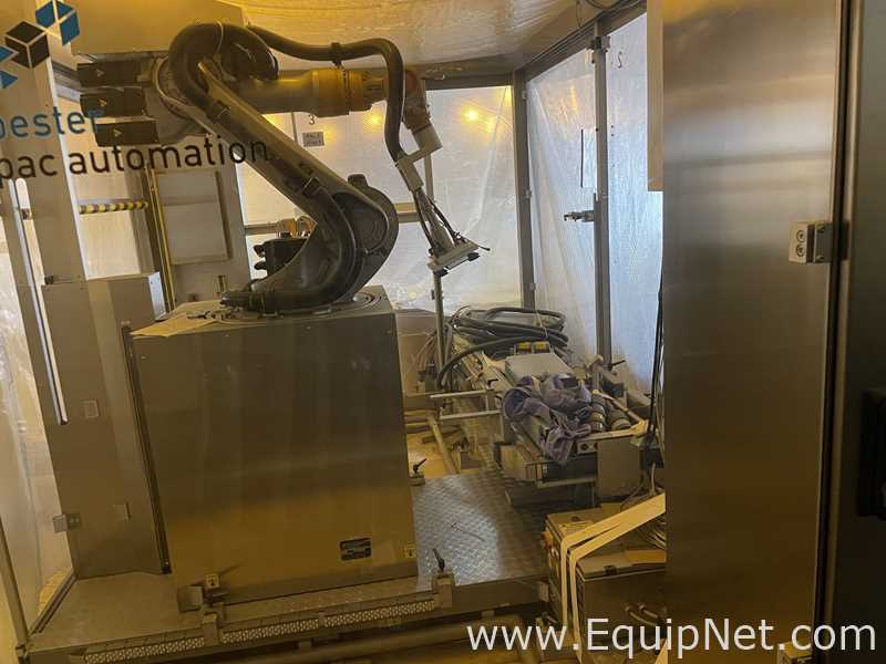 Pester Pac Automation Pewo Form PAL6 Palletizer and Depalletizer