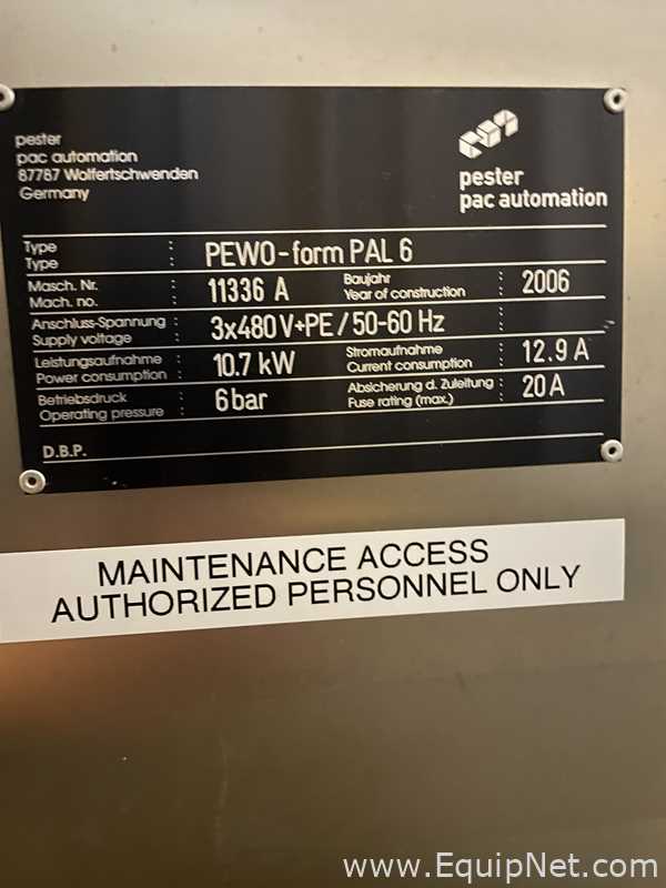 Pester Pac Automation Pewo Form PAL6 Palletizer and Depalletizer