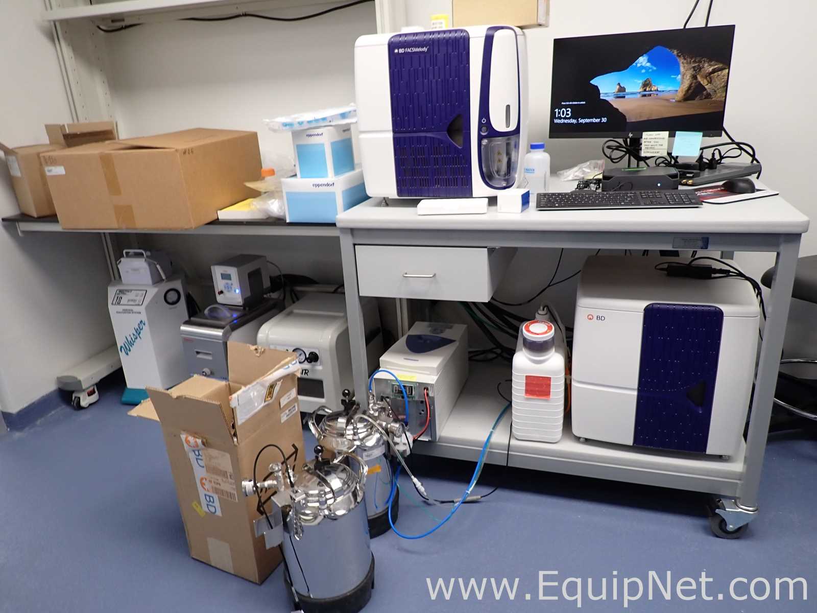 BD FACSMelody Cell Sorter Flow Cytometer