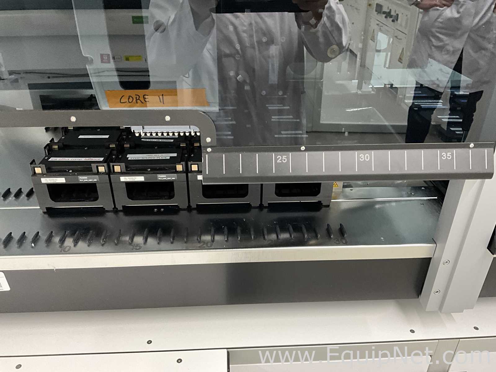 Hamilton Microlab STARplus Liquid Handler